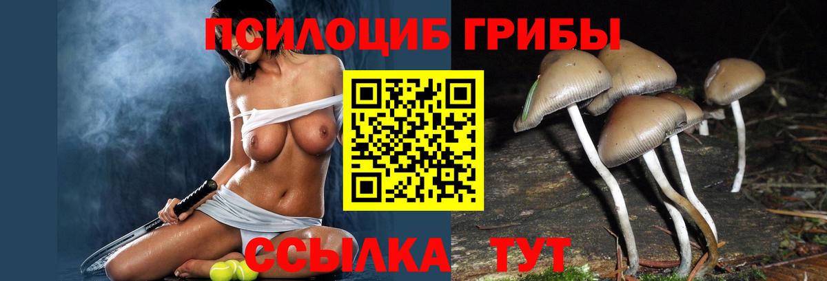 Похвистнево  Псилоцибиновые грибы Magic Shrooms  Вход с VPN 
