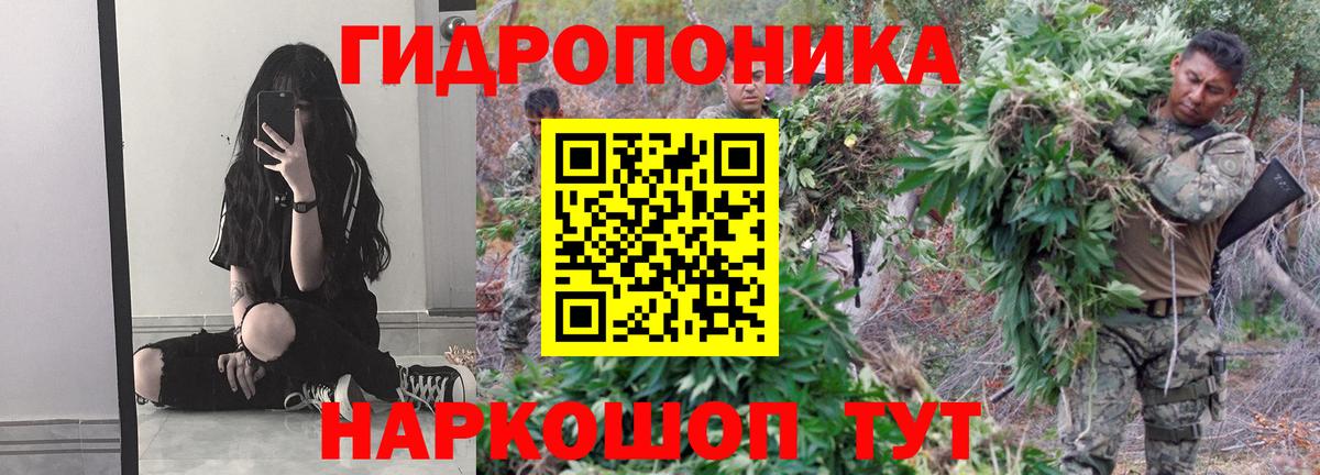 Бошки Шишки марихуана Похвистнево